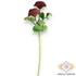 Kép 3/3 - Mű zöld gömb dália szál 52 cm - bíbor álló