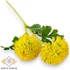 Kép 1/3 - Mű zöld gömb dália szál 52 cm - sárga szemből