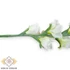 Kép 2/3 - Mű kardvirág szál gumi 92 cm - fehér közeli