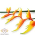 Kép 2/3 - Mű heliconia chartacea szál gumi 85 cm - narancs közeli