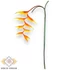 Kép 3/3 - Mű heliconia chartacea szál gumi 85 cm - narancs álló