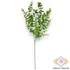 Kép 3/3 - Mű zöld ráncos törpebors szál 69 cm - zöld álló