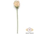 Kép 4/4 - Mű protea szál flokkolt selyem 63 cm - halvány barack álló