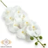 Kép 1/3 - Mű fodros phalaenopsis szál bevonatos 96 cm - fehér szemből