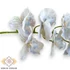 Kép 2/3 - Mű fodros phalaenopsis szál bevonatos 96 cm - világoskék közeli