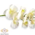 Kép 2/3 - Mű fodros phalaenopsis szál bevonatos 96 cm - törtfehér közeli