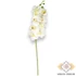Kép 3/3 - Mű fodros phalaenopsis szál bevonatos 96 cm - törtfehér álló