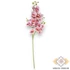 Kép 3/3 - Mű lepkeorchidea szál bevonatos 75 cm - pink álló