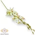 Kép 1/3 - Mű cymbidium iridioides szál selyem 84 cm - törtfehér szemből
