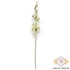 Kép 3/3 - Mű cymbidium iridioides szál selyem 84 cm - törtfehér álló