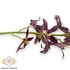 Kép 2/3 - Mű cymbidium iridioides szál selyem 84 cm - lila közeli
