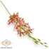 Kép 1/3 - Mű cymbidium iridioides szál selyem 84 cm - rózsaszín cirmos szemből