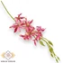 Kép 1/3 - Mű cymbidium iridioides szál selyem 84 cm - pink szemből