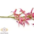 Kép 2/3 - Mű cymbidium iridioides szál selyem 84 cm - pink közeli