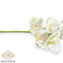 Kép 2/3 - Mű fodros orchidea szál polifoam 66 cm - törtfehér közeli