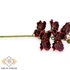 Kép 2/3 - Mű fodros orchidea szál polifoam 66 cm - bordó közeli