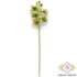 Kép 3/3 - Mű fodros orchidea szál polifoam 66 cm - zöld álló