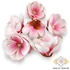 Kép 2/2 - Mű magnólia fej tripla polifoam 10 cm 6 db - élénk rózsaszín mind