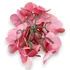 Kép 2/2 - Mű hortenzia fej bevonatos 14 cm - pink hátul