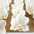 Kép 2/4 - Mű cymbidium fejek tálcán 30 db polifoam 10 cm - krémfehér szemből