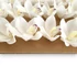 Kép 4/4 - Mű cymbidium fejek tálcán 30 db polifoam 10 cm - krémfehér közeli