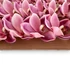 Kép 4/4 - Mű cymbidium fejek tálcán 30 db polifoam 10 cm - rózsaszín-bíbor közeli