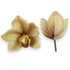 Kép 1/4 - Mű cymbidium fejek tálcán 30 db polifoam 10 cm - okker darab