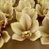 Kép 2/4 - Mű cymbidium fejek tálcán 30 db polifoam 10 cm - okker szemből