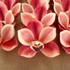 Kép 2/4 - Mű cymbidium fejek tálcán 30 db polifoam 10 cm - piros-sárga szemből