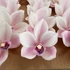 Kép 2/4 - Mű cymbidium fejek tálcán 30 db polifoam 10 cm - rózsaszín cirmos szemből