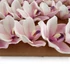 Kép 4/4 - Mű cymbidium fejek tálcán 30 db polifoam 10 cm - rózsaszín cirmos közeli