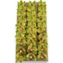 Kép 3/4 - Mű cymbidium fejek tálcán 30 db polifoam 10 cm - zöld tálca