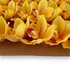 Kép 4/4 - Mű cymbidium fejek tálcán 30 db polifoam 10 cm - sárga közeli