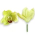 Kép 1/3 - Mű cymbidium fejek tálcán 40 db szatén 12 cm - világoszöld darab