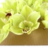Kép 3/3 - Mű cymbidium fejek tálcán 40 db szatén 12 cm - világoszöld közeli