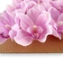 Kép 3/3 - Mű cymbidium fejek tálcán 40 db szatén 12 cm - erikaviola közeli