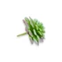 Kép 2/4 - Mű mini aeonium tabuliforme csomag 12 db gumi 7 cm - hamvas oldalt