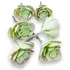 Kép 1/4 - Mű echeveria pallida csomag 6 db gumi 13 cm - hamvas mind