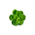 Kép 3/4 - Mű mini sedum kimnachii szál gumi 7 cm - zöld ferde
