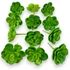 Kép 1/4 - Mű mini sedum kimnachii csomag 12 db gumi 7 cm - zöld mind