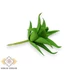 Kép 3/4 - Mű mini aloe vera csomag gumi 12 db 10 cm - zöld oldalt