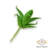 Kép 4/4 - Mű mini aloe vera csomag gumi 12 db 10 cm - zöld hátul