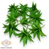Kép 1/4 - Mű mini aloe vera csomag gumi 12 db 10 cm - zöld mind