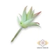 Kép 4/4 - Mű mini aloe vera csomag gumi 12 db 10 cm - világoszöld hátul