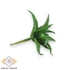 Kép 3/4 - Mű mini aloe vera csomag gumi 12 db 10 cm - zöld pöttyös oldalt