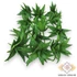 Kép 1/4 - Mű mini aloe vera csomag gumi 12 db 10 cm - zöld pöttyös mind