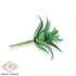 Kép 2/4 - Mű mini aloe vera gumi 10 cm - hamvas oldalt