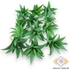 Kép 1/4 - Mű mini aloe vera csomag gumi 12 db 10 cm - hamvas mind