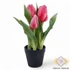 Kép 1/2 - Mű gumi cserepes tulipán 5 szálas 22,5 cm - sötét rózsaszín szemből