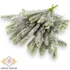 Kép 1/2 - Mű zöld szitka luc köteg 12 szál 30 cm - havas szemből